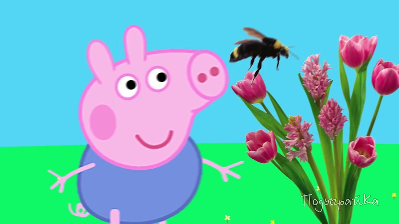 Peppa Pig New episodes. A bee sting! Peppa Pig