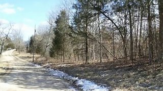 20 Acres with Lake Front Lot-Only $52,500.00!