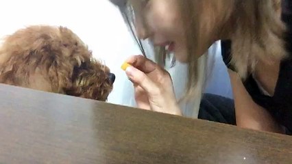 20160615 - 岸野里香 Kishino Rika (NMB48) part 1