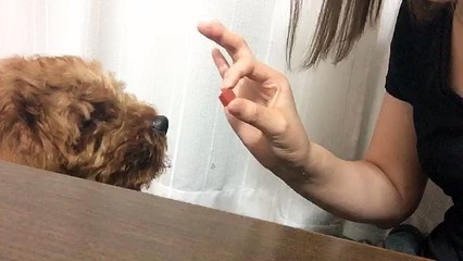 20160615 - 岸野里香 Kishino Rika (NMB48) part 2