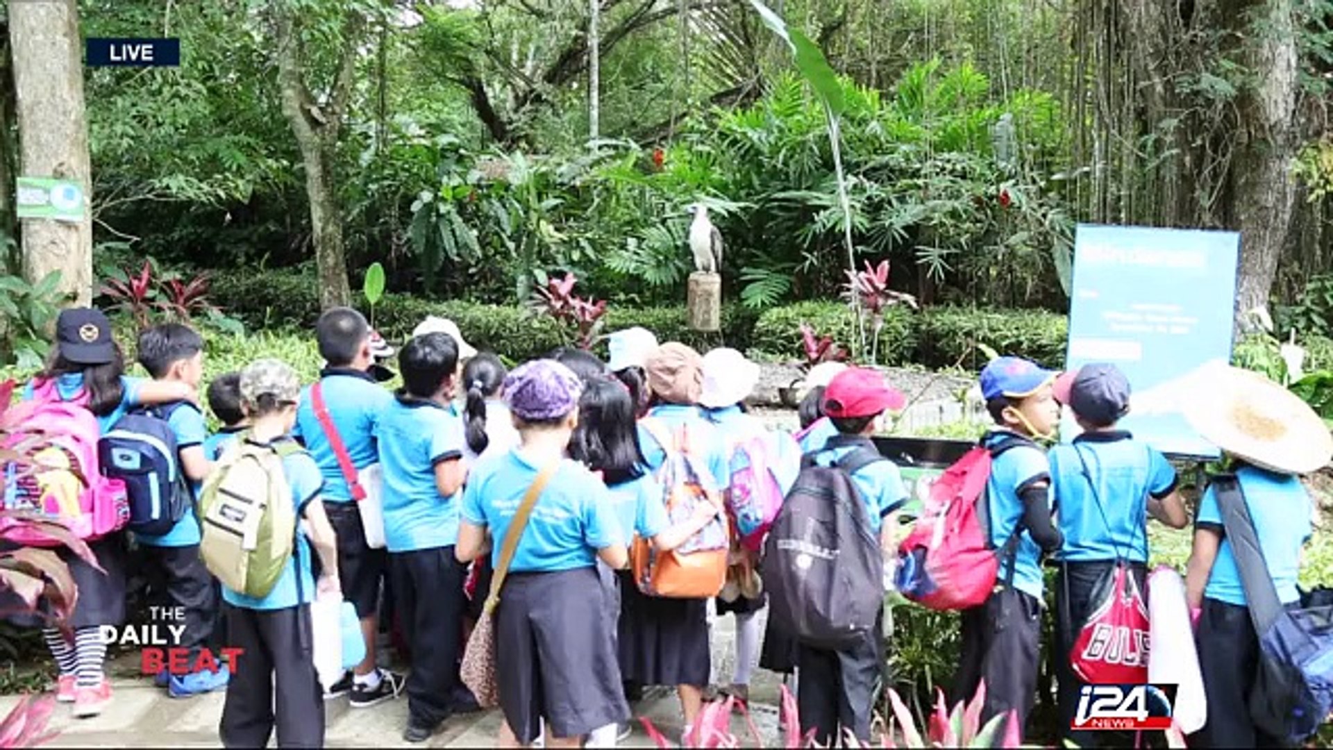 ⁣Sanctuary offers hope for endangered Philippine eagle