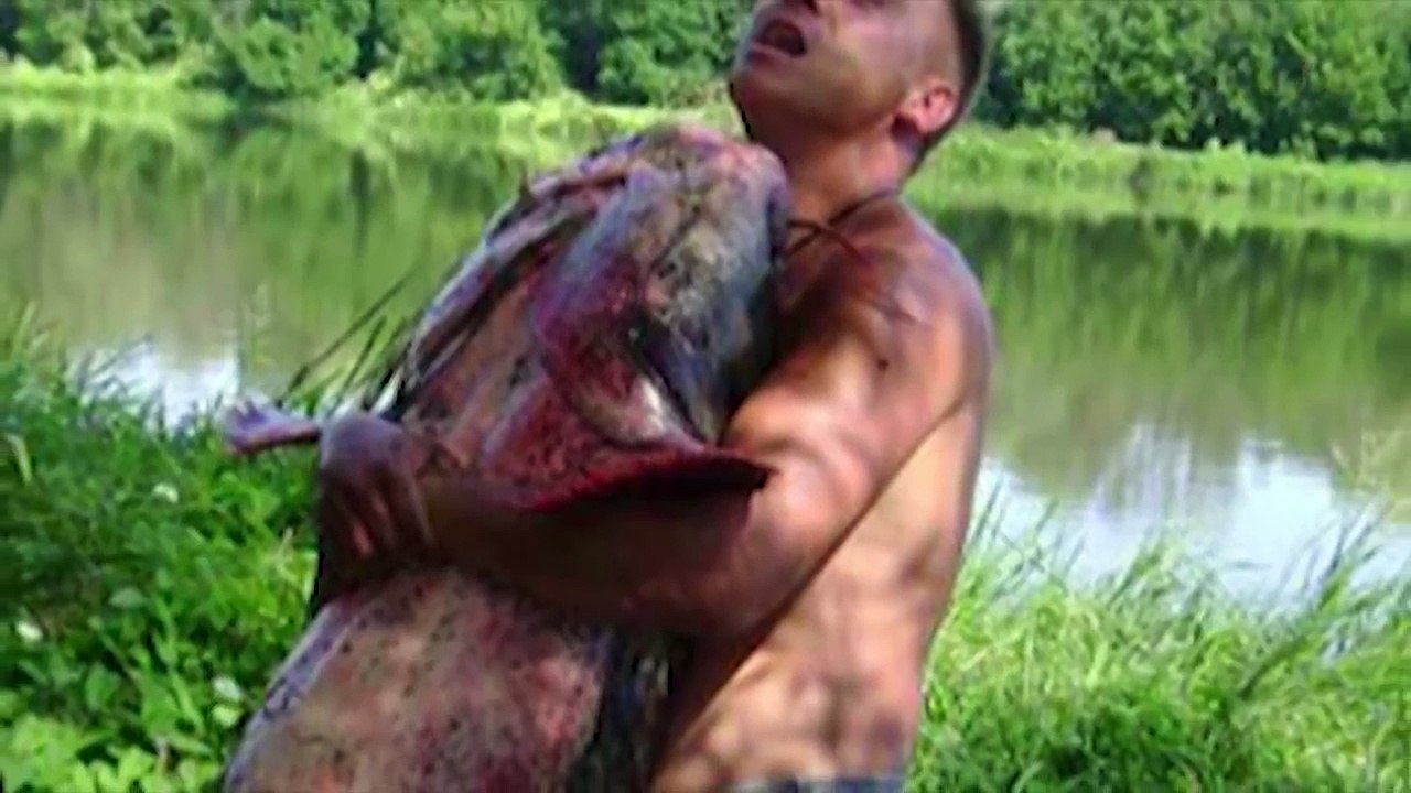 These Killer Catfish Hunt Pigeons On Land,This Is Insane!