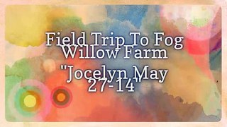 Field Trip To Fog Willow Farm 