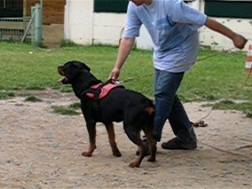 entraînement du 24/06/2007 valdo élastique N°2
