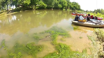 This Snake Decide It Wanted A Big Catfish For Lunch…INCREDIBLE FOOTAGE!