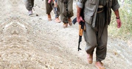 Gri Renkli Listede Aranan PKK'lı Öldürüldü