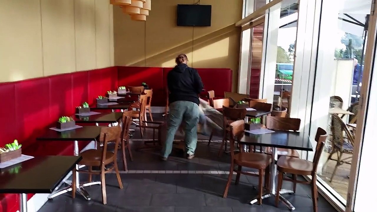 Un kangourou coincé dans un restaurant en Australie