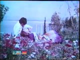 PAKEEZA (1979) - Hum Na Honge To Tumhen Jaan e Vafa | Yaad Aayengi Hamari Baaten - (Nadeem, Shabnam)