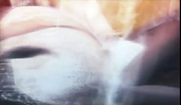 Prince of Persia les Sables du temps Intro