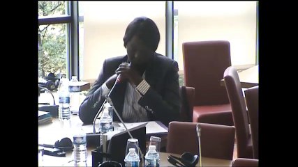 Seybah Dagoma - Audition de M. Sébastien Mosneron-Dupin, DG d'Expertise France - 15 juin 2016