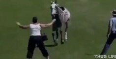 Une femme se fait violemment percuter par un cheval en essayant de l’arrêter (vidéo)