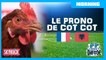 Le prono de Cot Cot la Poule pour le match France / Albanie ! Le Morning de Difool
