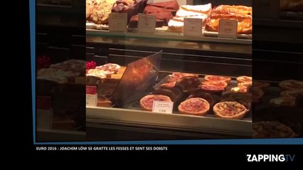 Des rats se promènent dans une vitrine d’une boulangerie Paul à Paris, la vidéo choc !