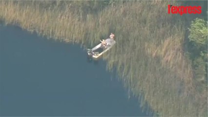 A Disney World, un enfant de deux ans happé par un alligator