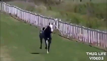 I essaye de stopper un cheval au galop