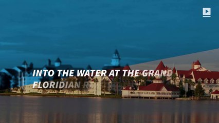 Search continues for toddler dragged into lagoon by gator at Disney hotel