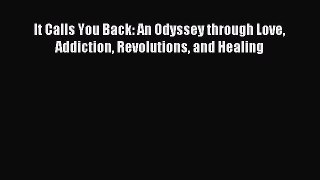 Download It Calls You Back: An Odyssey through Love Addiction Revolutions and Healing Ebook