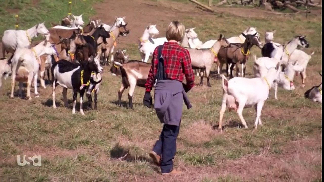 Chrisley Knows Best S04E13