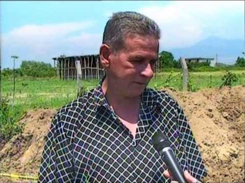 TE VRARE PREJ 20 VITESH GJENDEN ESHTRAT E REVOLTUESVE TE QAFE BARIT LAJM