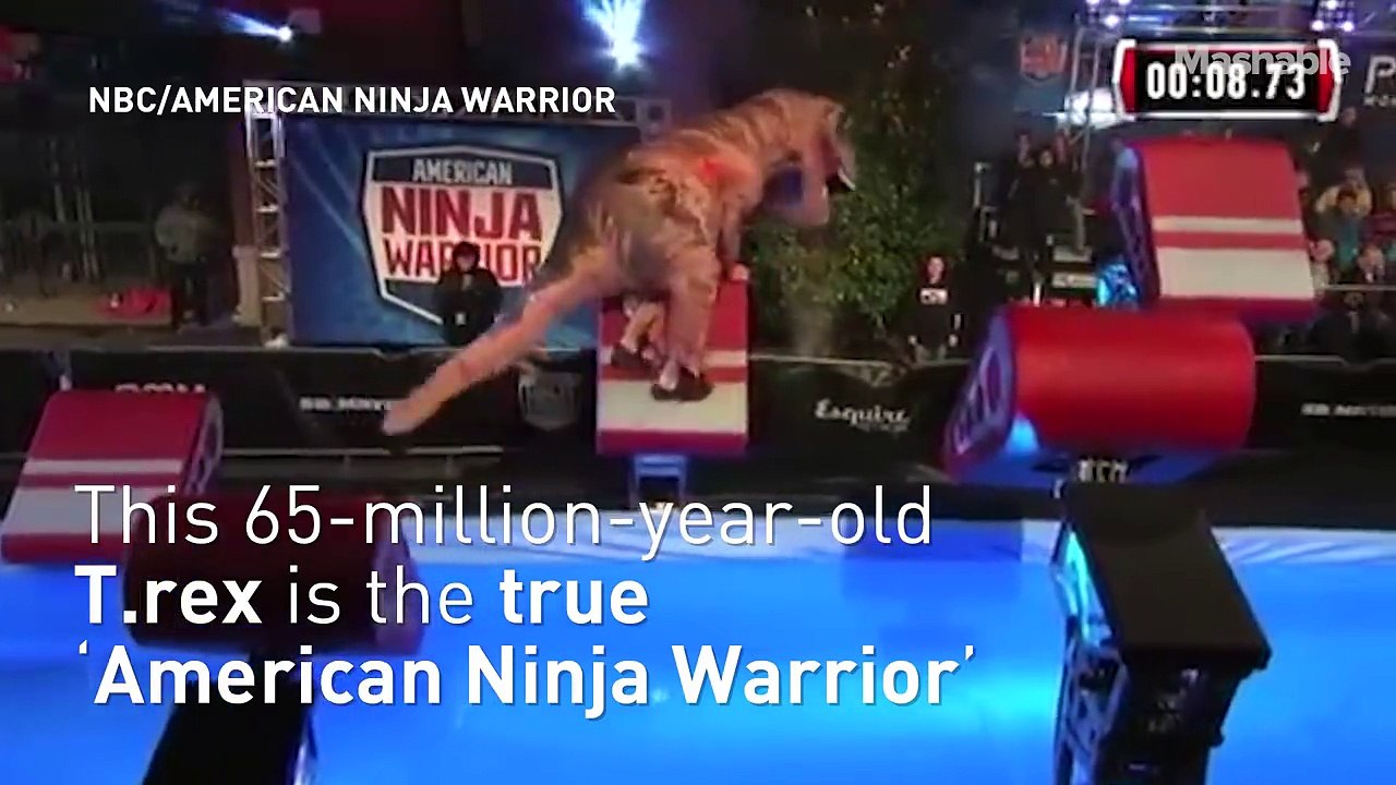 DROLE : Regarder ce T-Rex d‘American Ninja Warrior.