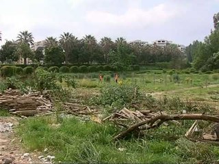 KOPESHTI BOTANIK NIS PRISHJA,SHKULEN PEMET E PARA TE BOTANIKU LAJM