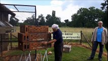 Onzième étape du Tour de France colombophile