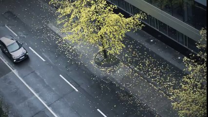 Location Hyundai i10 Agadir - Agence Best Cars