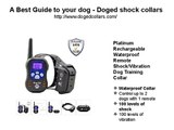 A best guide to your dog - doged shock collars