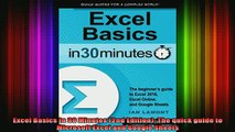 DOWNLOAD FREE Ebooks  Excel Basics In 30 Minutes 2nd Edition The quick guide to Microsoft Excel and Google Full Ebook Online Free