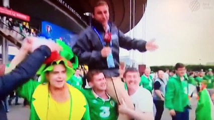 Un journaliste hongrois se fait (gentiment) malmener par des supporters irlandais