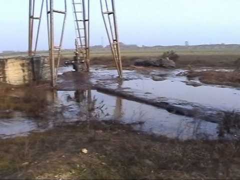 NDOTJA E MJEDISIT SHKAKTON SEMUNDJE TE SHUMTA NE QARKUN FIER LAJM