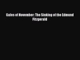 [Online PDF] Gales of November: The Sinking of the Edmund Fitzgerald Free Books