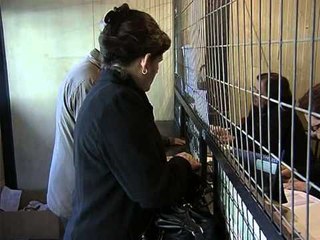 “CEZ” GJOBITET SERISH METE 500 MIJE EURO GJOBE PER SAHATET MATES LAJM