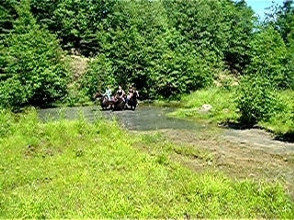 Galop dans l'eau