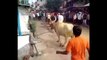 Un taureau saute soudainement au dessus d’un homme en pleine rue (Inde)