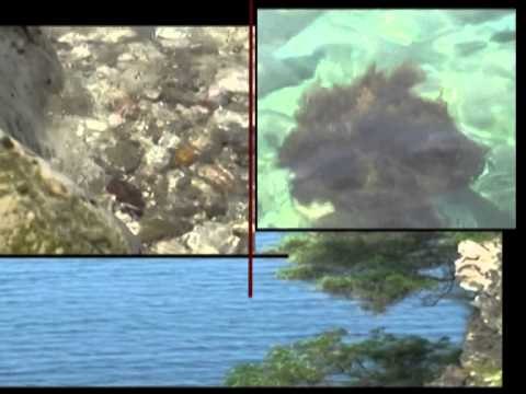 TURIZMI NE VLORE FUNDJAVE TURISTIKE NE VLORE,NIS SEZONI VEROR LAJM