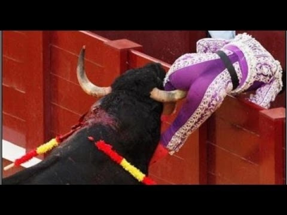 Funny Bullfighting Festival Moments || Best Funny Videos 2016 || Funny Fails