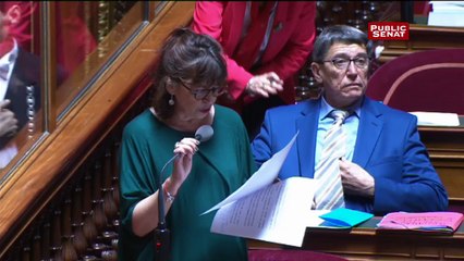 Loi travail : la tension de la rue s’invite au Sénat