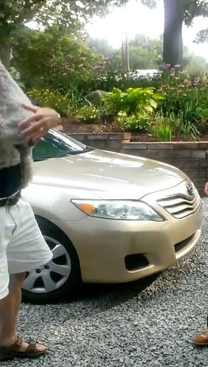 Cão desmaia ao re-encontrar a dona