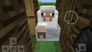 Why is that sheep's leg glitching out!?!? |Minecraft pocket edition #1