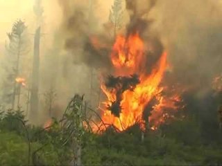 SITUATA E ZJARREVE PROBLEM NE 21 VATRA AKTIVE,VJEN HELIKOPTERI NGA SLLOVENIA LAJM