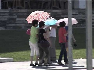 RREZIKU I VIROZAVE MJEKET SHPJEGOJNE ARSYET DHE KATEGORITE QE PREKEN LAJM