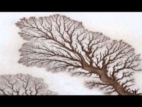 RRETH BOTES ME OBJEKTIV FOTOT ME TE BUKURA TE SHKREPURA GJATE VITIT 2012 LAJM