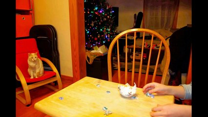 Adam and 3D Puzzle Ball - January 13, 2014