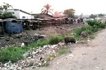 ALLONS SEULEMENT VERS LA NOUVELLE REPUBLIQUE