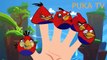 Angry Birds Finger Family Song - Spiderman Finger Family Nursery Rhymes #Angry Bird Cartoon