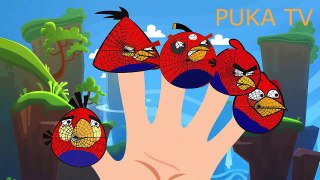 Angry Birds Finger Family Song - Spiderman Finger Family Nursery Rhymes #Angry Bird Cartoon