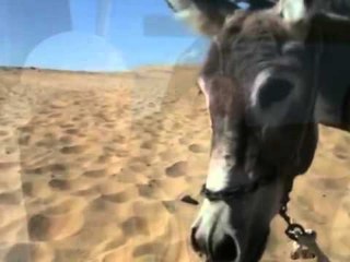 “PAFAJESIA E MUSLIMANEVE” FILMI I REGJISORIT IZRAELIT QE PO SHKAKTON VIKTIMA LAJM