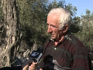 VAJI I ULLIRIT PRODHIMI NE FERMEN ME TE SUKSESHME NE JUG TE VENDIT LAJM