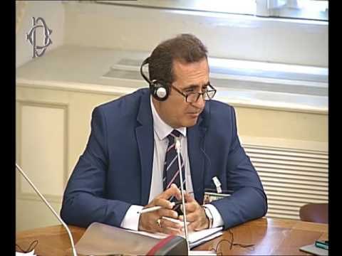 Roma - Audizione Chaldean Syriac Assirian Popular Council (15.06.16)